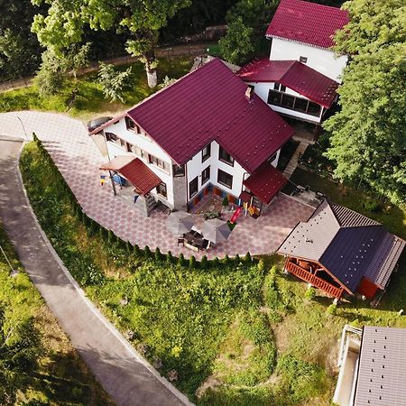 Stejarul Lui Andrei Otel Izvoarele  Dış mekan fotoğraf