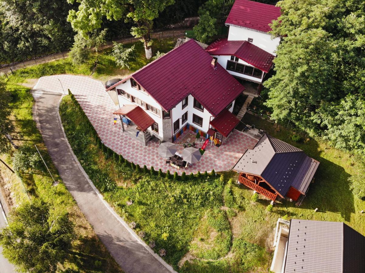 Stejarul Lui Andrei Otel Izvoarele  Dış mekan fotoğraf