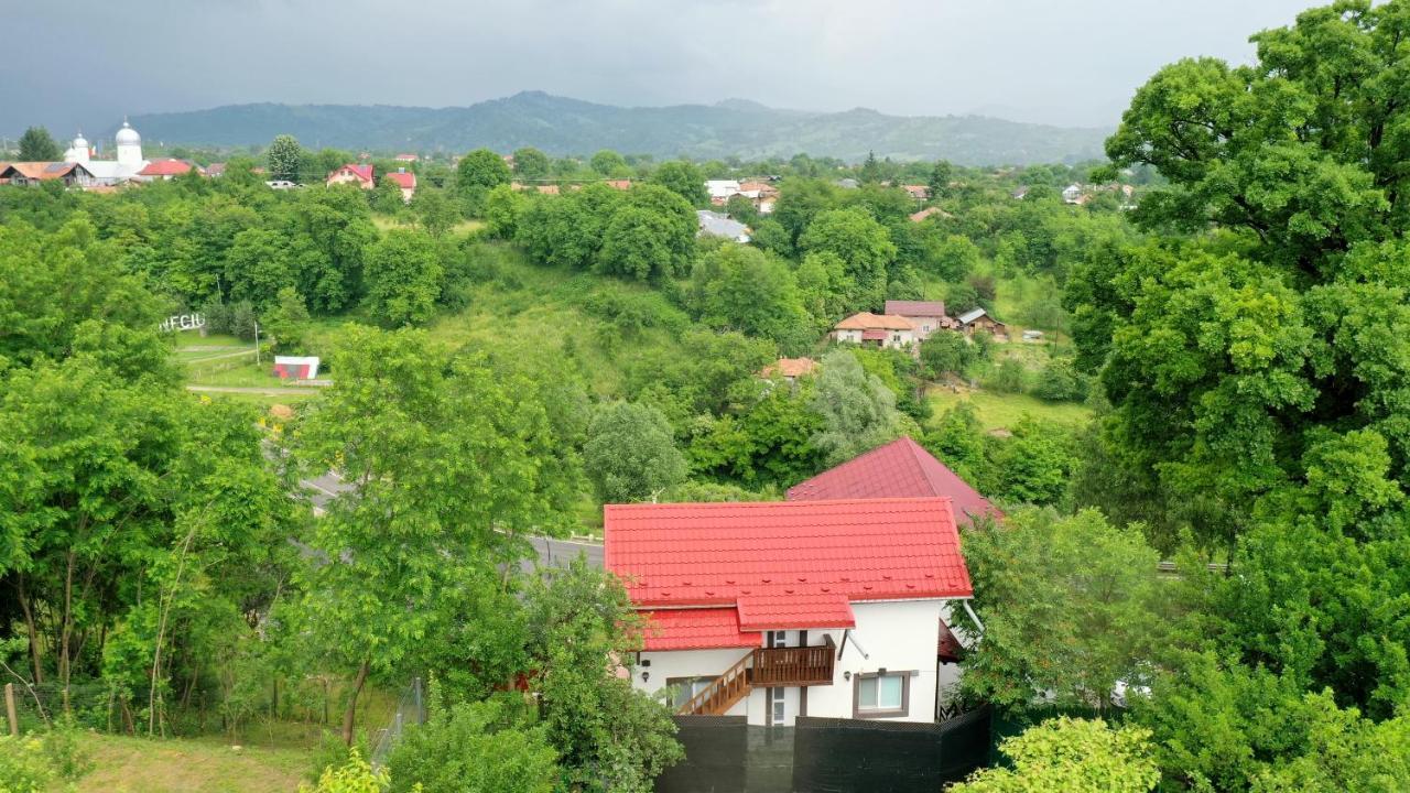 Stejarul Lui Andrei Otel Izvoarele  Dış mekan fotoğraf